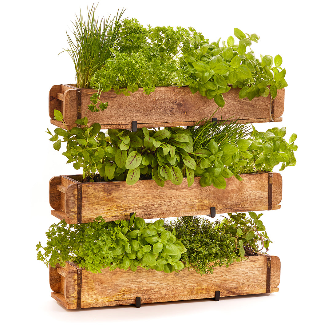 Set: 3 Ziegelformen (2 Fächer) mit Ständer I Ziegelformregal