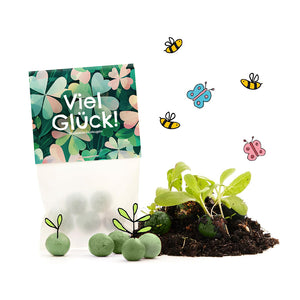 Tüte mit der Aufschrift "Viel Glück!", grüne Saatkugeln, Erde, kleine Pflanzen sowie gezeichnete Bienen und Schmetterlinge.
