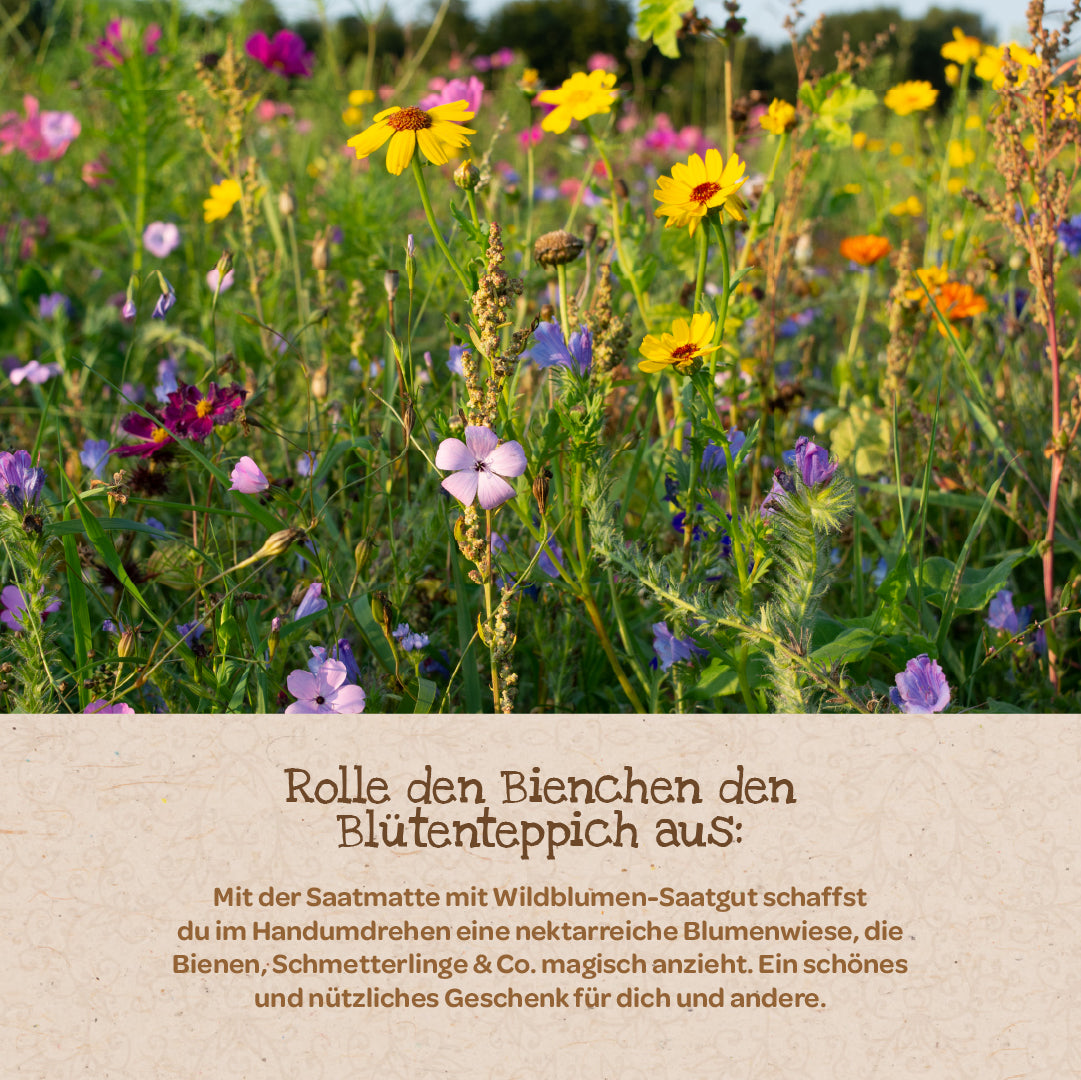 Bltenteppich  Saatmatte mit Wildblumensaatgut