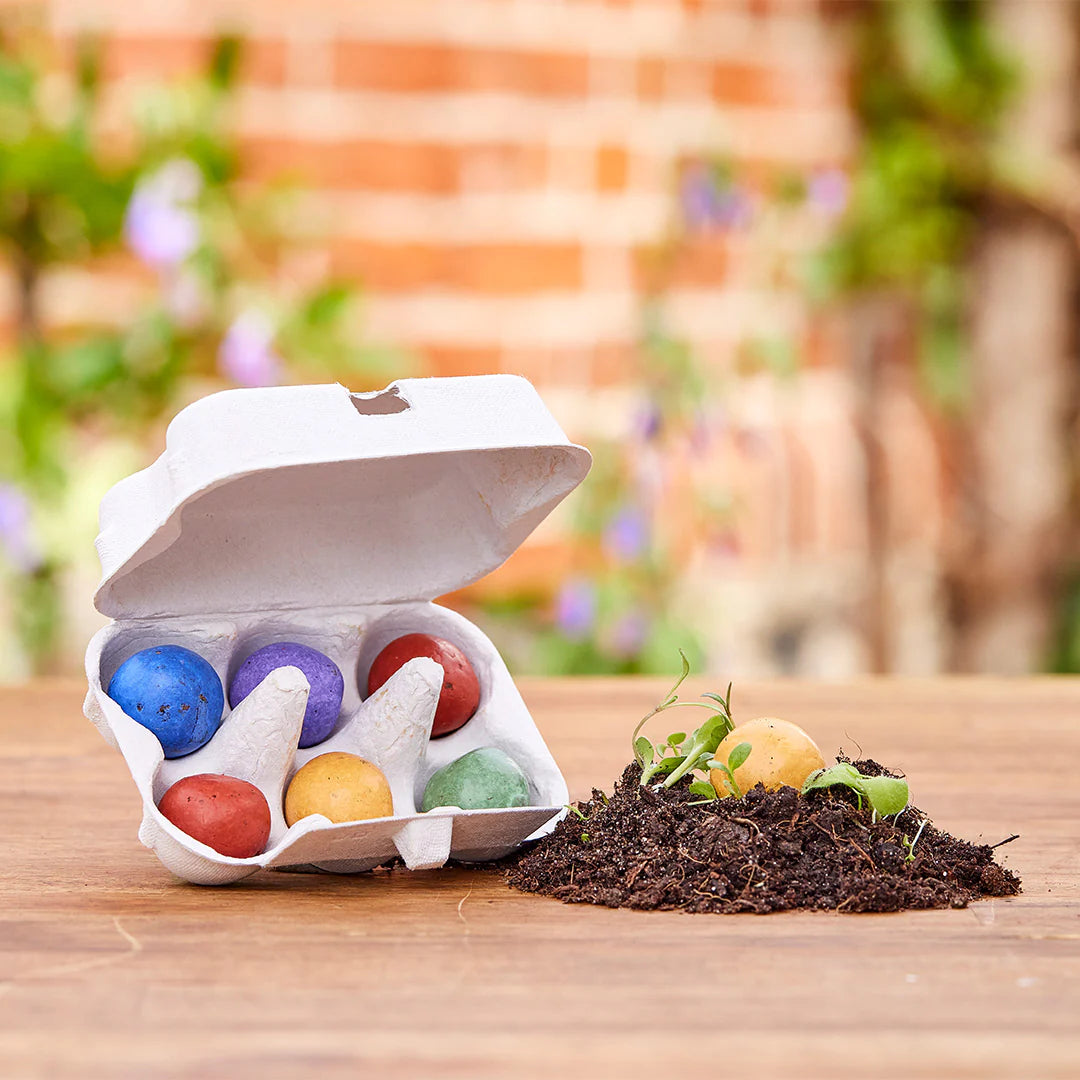 6 bunte Blumenmurmeln im Eierkarton - Powerblumen