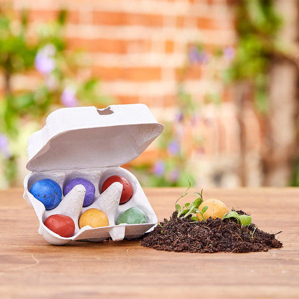 6 bunte Blumenmurmeln im Eierkarton - Powerblumen