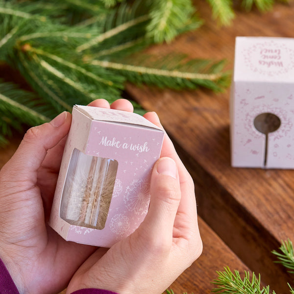 Wunscherfüller in der Faltschachtel