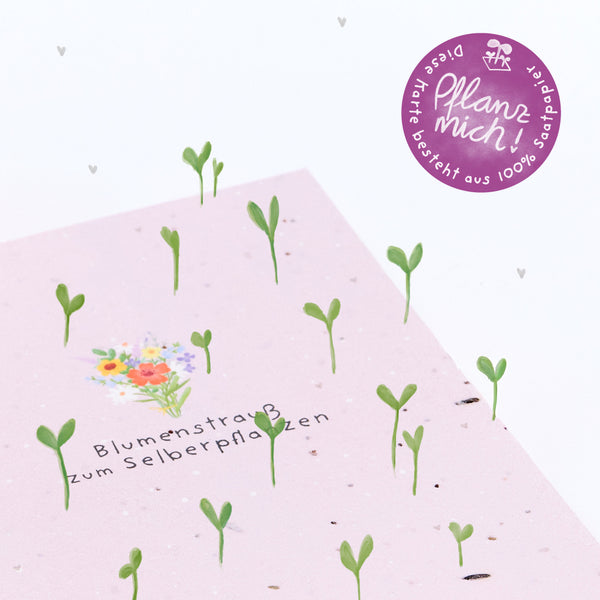 Postkarte aus Samenpapier