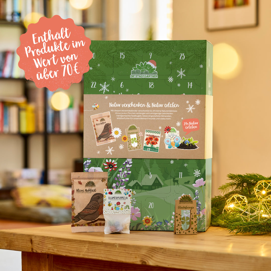 Adventskalender mit grünem, winterlichem Design, steht auf einem Holztisch vor einem unscharfen Bücherregal, mit Dekoration und kleinen Tüten für Samen und Blumenkugeln im Vordergrund; Text auf dem Kalender und einer roten Blase weist auf Produkte im Wert von über 70 Euro hin.
