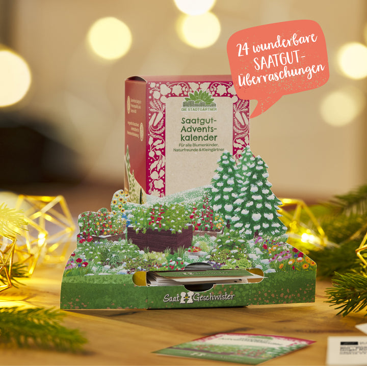 Samen Adventsalender mit 24 Saatgut Überraschungen