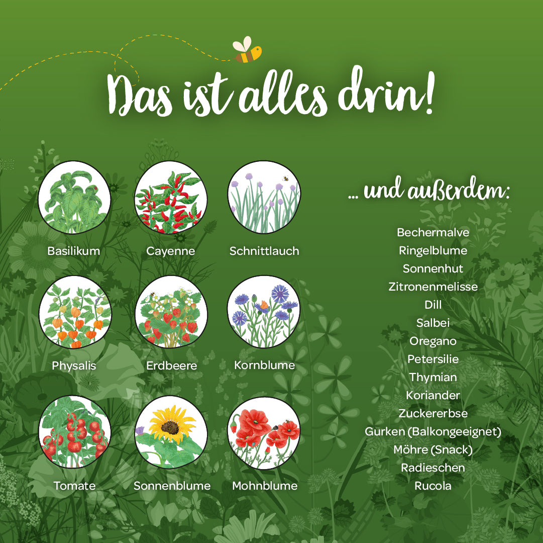 Viele verschiedene Saatgutsorten sind im Kalender