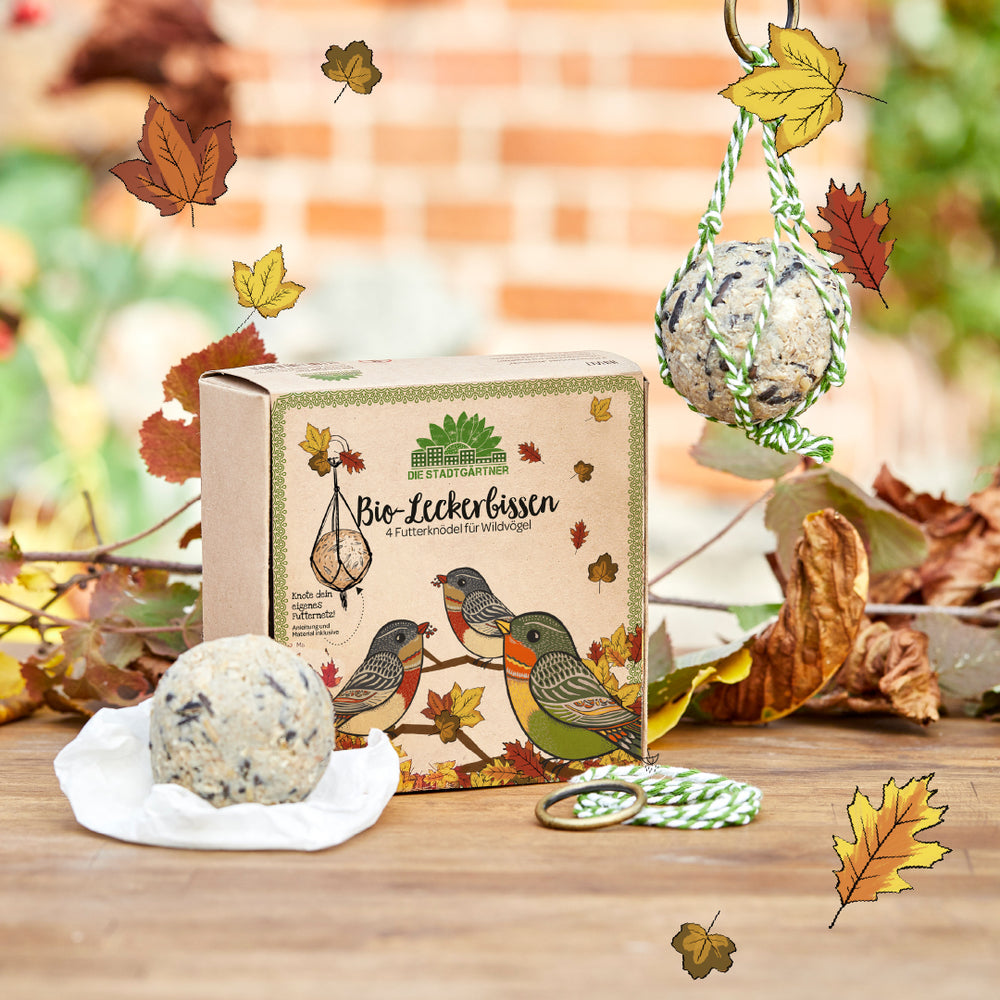 4 BIO-Leckerbissen – Futterknödel