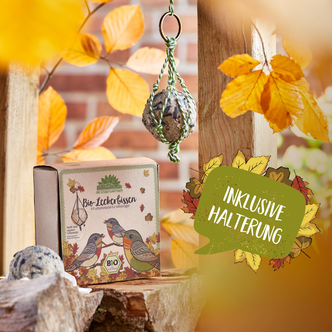 Verpackung mit Bio-Futterknödeln für Wildvögel, aufgehängter Futterknödel und herbstliche Blätter im Hintergrund, Schriftzug "Inklusive Halterung".
