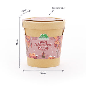 Brauner Pflanztopf mit dekorativem Etikett "Dein Lebkuchenbaum", daneben Maßangaben von 10 cm Durchmesser, 11 cm Höhe und 60 g Gewicht.