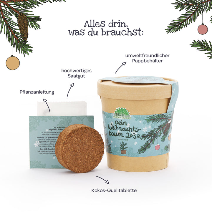 Set mit umweltfreundlichem Pappbecher, Kokos-Quelltablette, hochwertigem Saatgut und Pflanzanleitung für den eigenen Weihnachtsbaum, dekorativ illustriert mit Tannenzweigen.