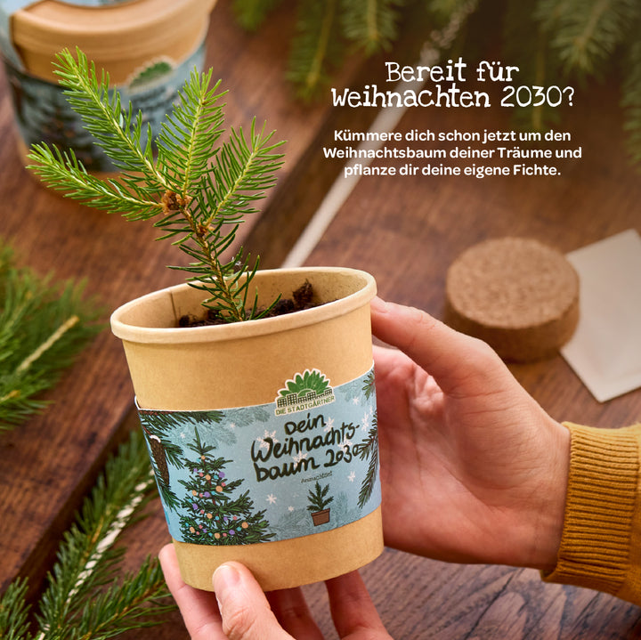 Eine Person hält einen kleinen Topf mit einer jungen Fichte und einem Etikett „dein Weihnachtsbaum 2030“.
