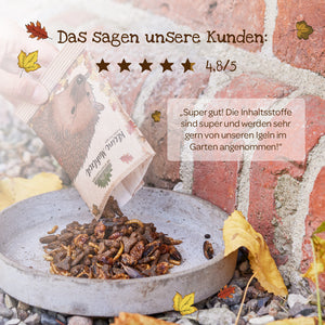 Eine Hand schüttet einen Beutel mit getrocknetem Insektenfutter in eine Schale auf dem Boden neben einer Backsteinmauer aus; auf der Verpackung ist ein gezeichneter Igel abgebildet. Im Bild sind eine Kundenbewertung und herbstliche Blätter zu sehen.