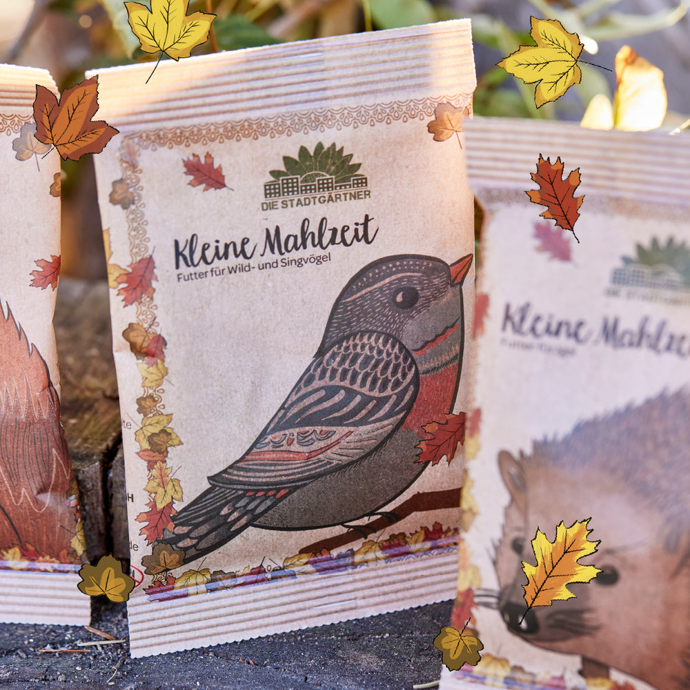 Kleine Mahlzeit – Vogelfutter