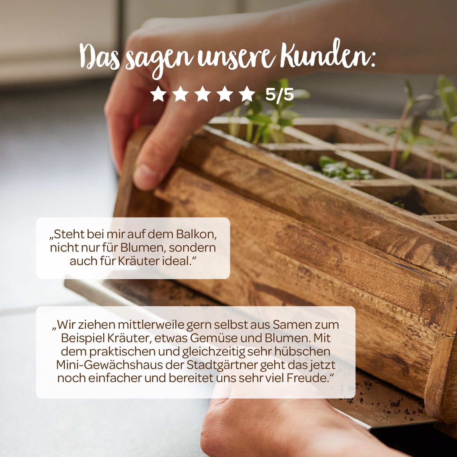 Nahaufnahme von Händen, die ein hölzernes Mini-Gewächshaus mit jungen Pflänzchen auf einem Tisch halten; darüber sind Kundenrezensionen und eine 5-Sterne-Bewertung auf Deutsch eingeblendet.