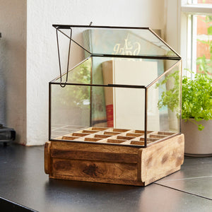 Kleines Gewächshaus aus Glas und Holz auf einer Küchenarbeitsplatte, im Hintergrund ein Topf mit frischen Kräutern.