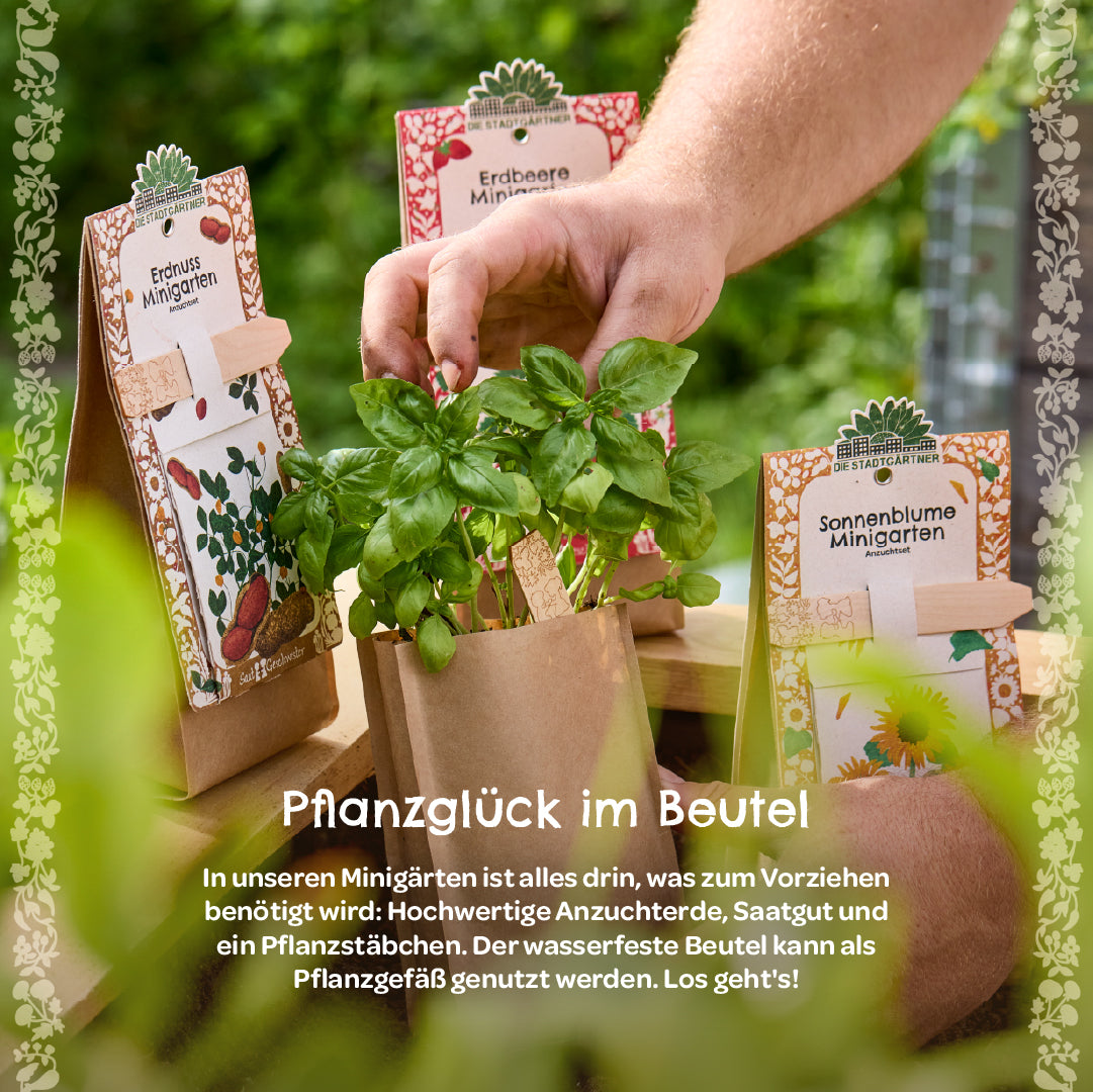 Eine Hand berührt einen Basilikum-Pflanzenbeutel, daneben stehen Minigarten-Sets für Erdnuss, Erdbeere und Sonnenblume auf einem Holztisch im Grünen.