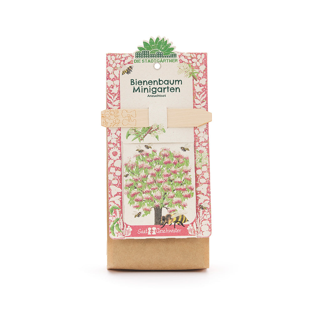 Anzuchtset - Minigarten Bienenbaum I Set: Samen, Saatgut und Anzuchterde I Ideal als Geschenk oder Geschenkidee