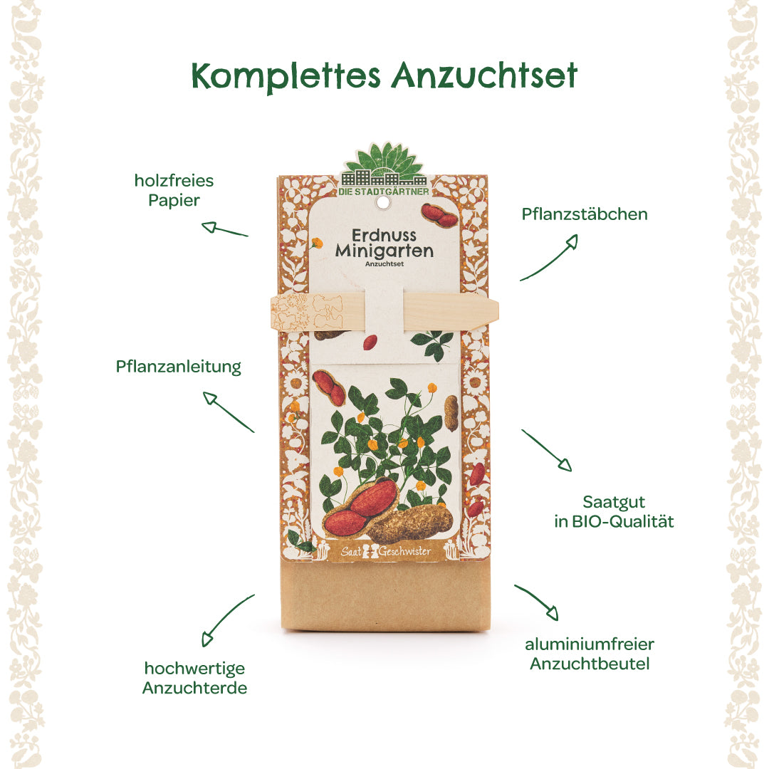Komplettes Anzuchtset für Erdnüsse mit Pflanzanleitung, Pflanzstäbchen, Bio-Saatgut, hochwertiger Anzuchterde, holzfreiem Papier und aluminiumfreiem Anzuchtbeutel.