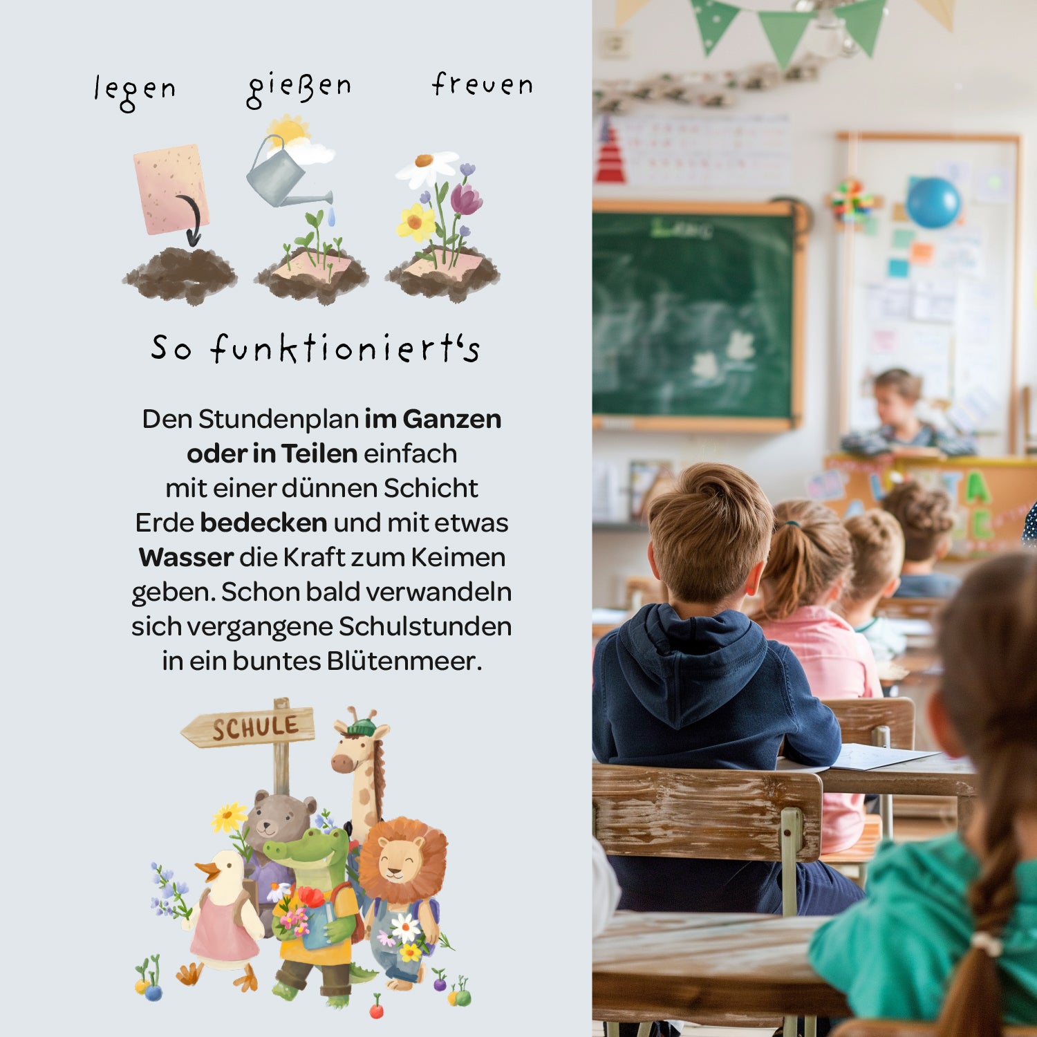 Wachsender Stundenplan
