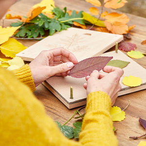 Person in gelbem Pullover legt bunte Herbstblätter in eine Pflanzenpresse auf einem Holztisch.