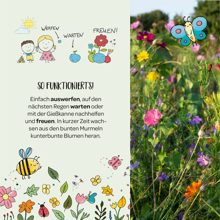 Illustration mit Kindern, Sonne, Pflanzen und Blumen, daneben ein blühendes Blumenfeld mit bunten Wildblumen, Biene und Schmetterling, Text erklärt das einfache Aussäen von Blumenmurmeln.