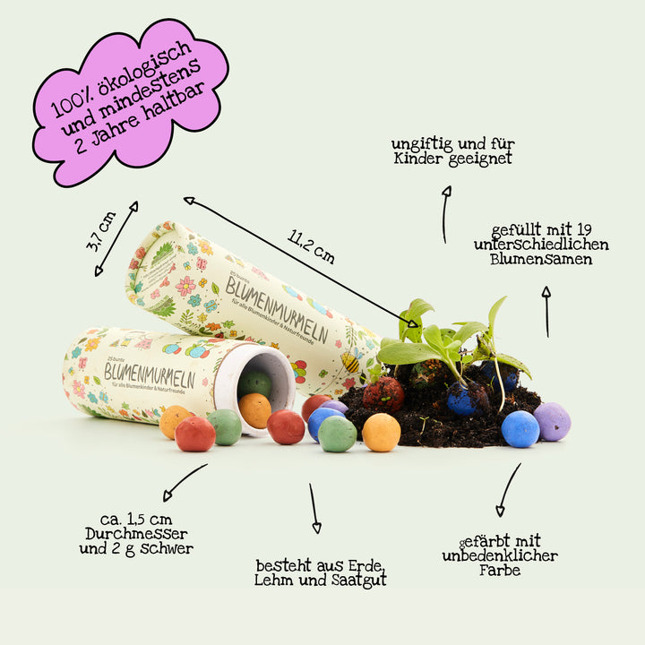Daten zu den Kinder Seedbombs