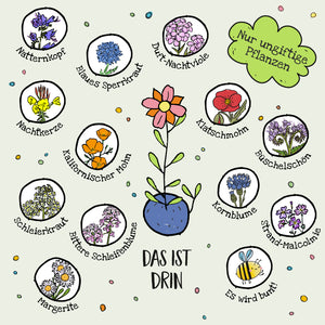 Illustration mit verschiedenen ungiftigen Pflanzenarten, wie Natternkopf, Blaues Sperrkraut, Duft-Nachtviole, Kalifornischer Mohn, Kornblume und mehr, jeweils mit handgezeichneten Blumen und einer zentralen Blume in einem Blumentopf.