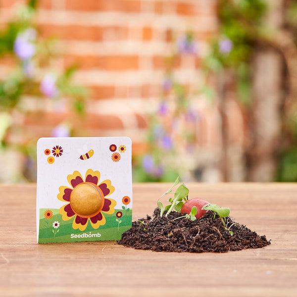 Große Blumenmurmel im 1er Träger