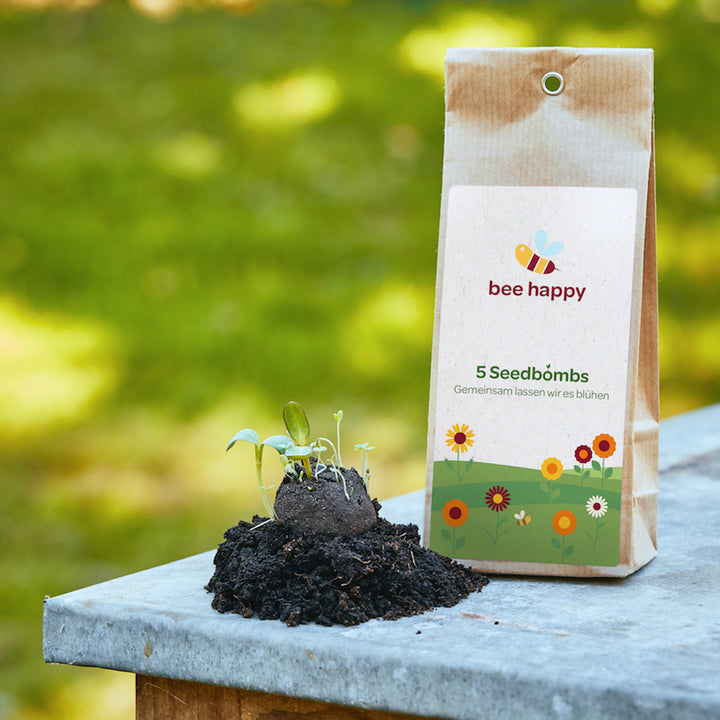 Verpackung für Seedbombs mit dem Aufdruck "bee happy" neben einer Keimlingssaatbombe auf einem Stein im Freien.