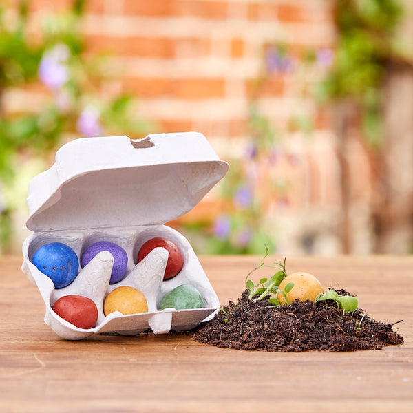 5 Large Flower Marbles in Quail Egg Carton