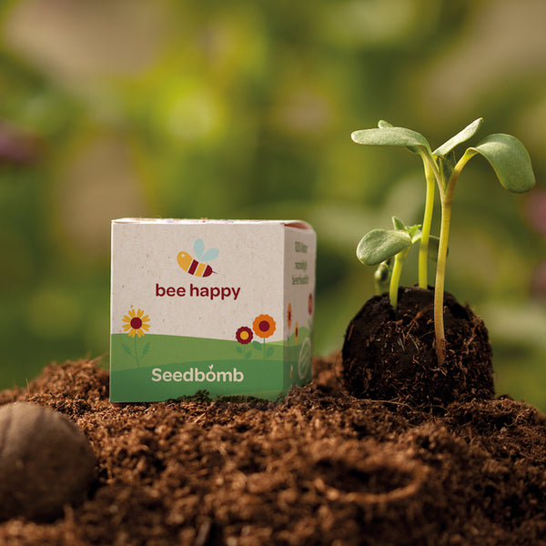 Seedbomb 4x4x4 cm Packaging Cube