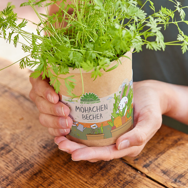 Möhrchen Becher - Anzuchtset für Kinder