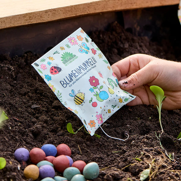 5 Blumenmurmeln im Siegelrandbeutel