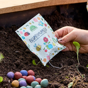 Hand hält eine Tüte mit Blumensamen über Erde, daneben bunte Samenbälle.