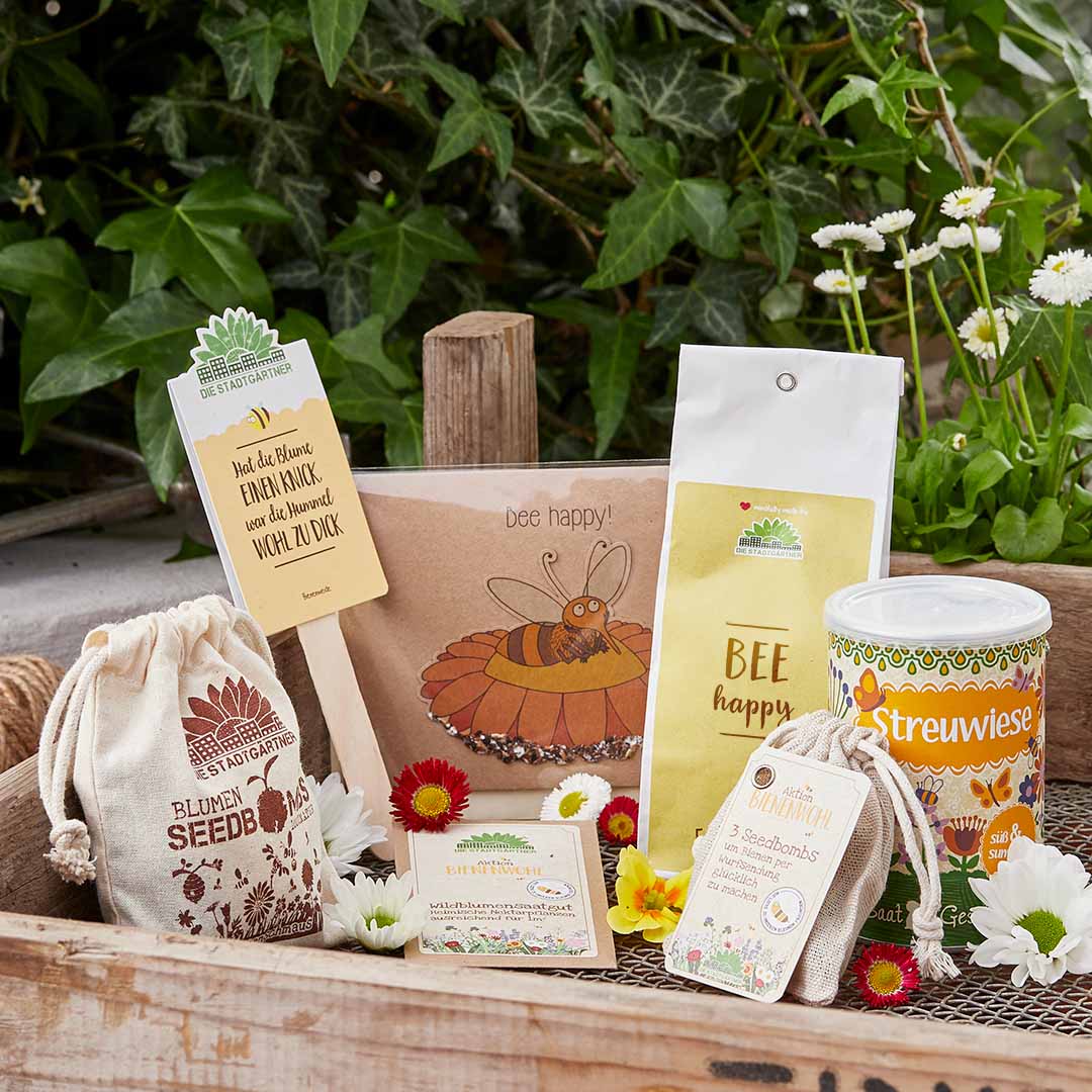 Bee Rescue Set - Gift for bee lovers and rescuers