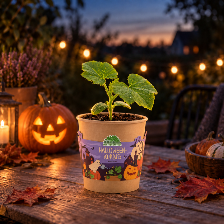 Halloween Kürbis - Becher