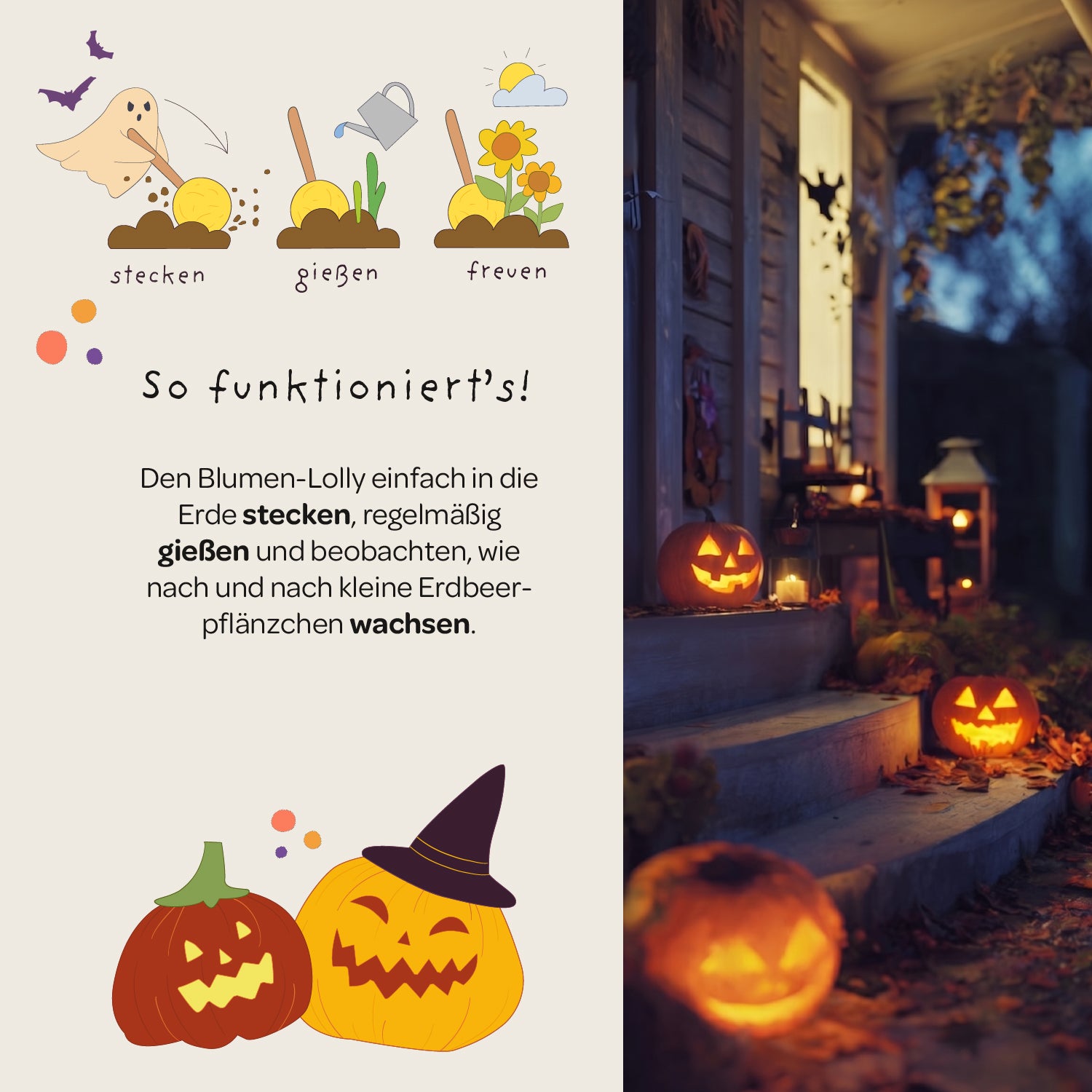 Halloween - Blumenlolly - Sonnenblume