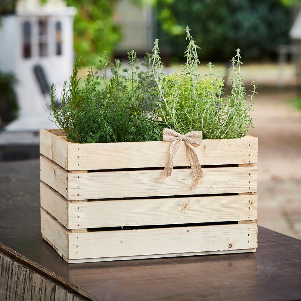 Helle Holzkiste für den Garten