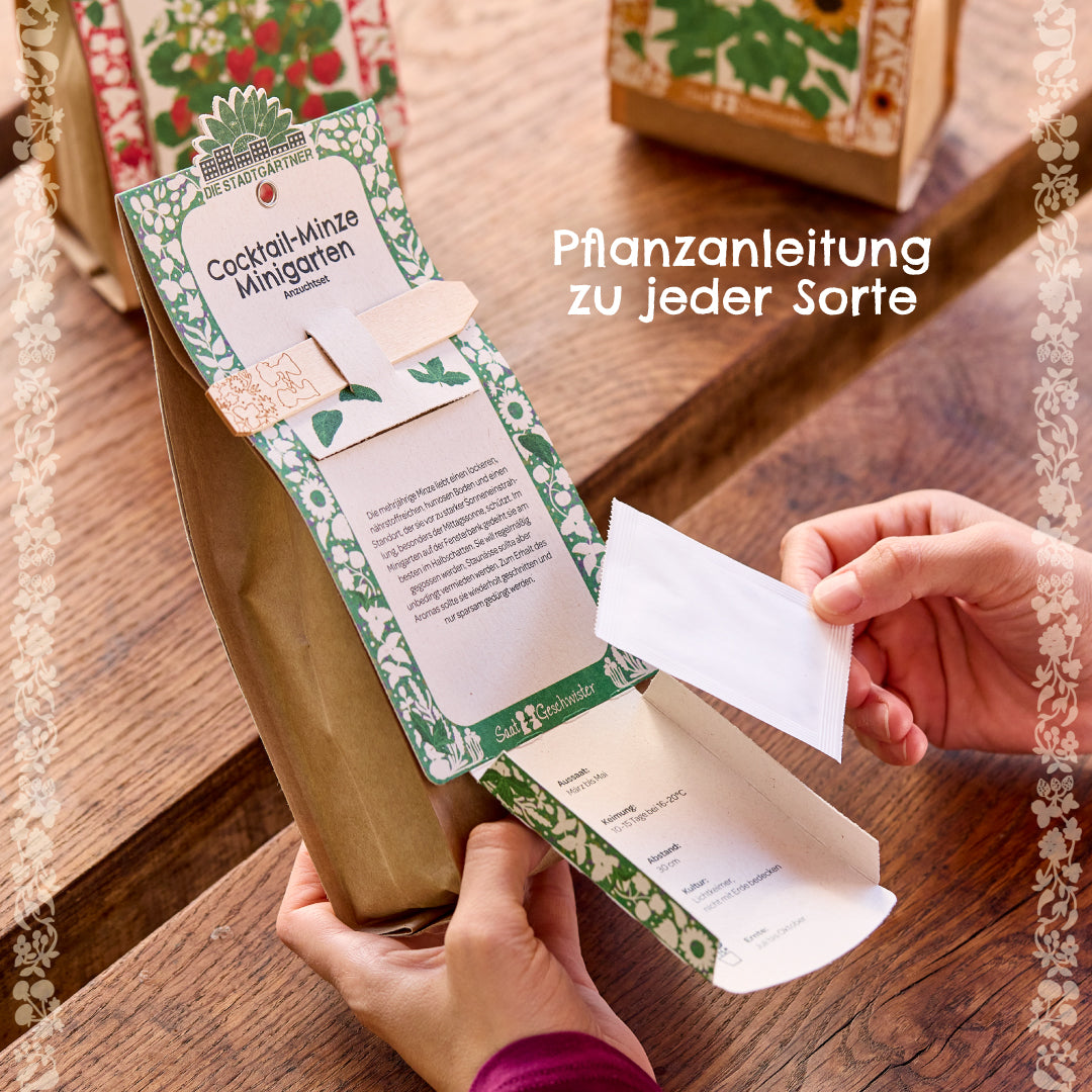 Person hält eine Kräuter-Anzuchtbox mit Pflanzanleitung für Cocktail-Minze und Saatgutpäckchen auf einem Holztisch.