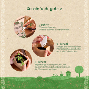 Anleitung zum Pflanzen eines Minigartens mit drei Schritten, illustriert mit Fotos: Tüte aufschneiden, Samen säen und gießen, Keimlinge wachsen lassen.