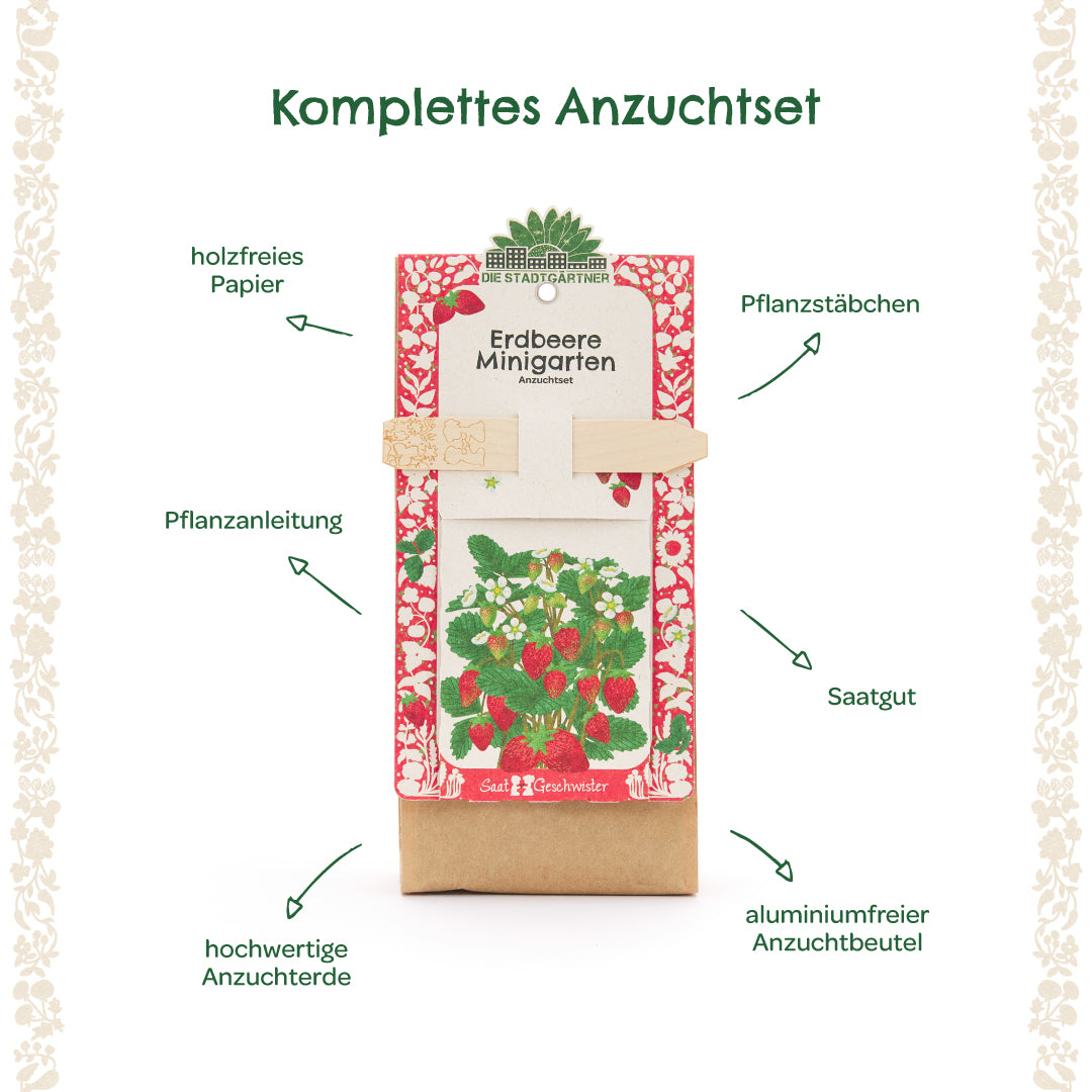 Komplettes Erdbeer-Anzuchtset mit Pflanzanleitung, Pflanzstäbchen, Saatgut, hochwertiger Anzuchterde und aluminiumfreiem Anzuchtbeutel, beschriftet mit erklärenden Pfeilen.