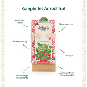 Komplettes Erdbeer-Anzuchtset mit Pflanzanleitung, Pflanzstäbchen, Saatgut, hochwertiger Anzuchterde und aluminiumfreiem Anzuchtbeutel, beschriftet mit erklärenden Pfeilen.