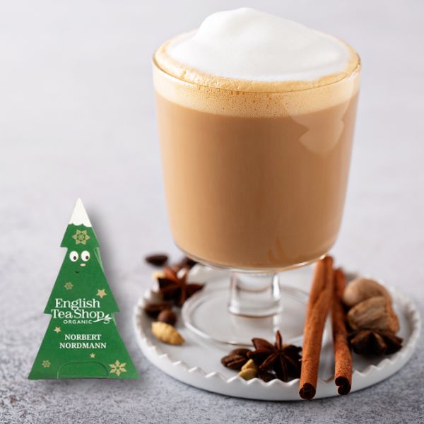 Intense Chai Teebeutel Bio – Norbert Nordmann