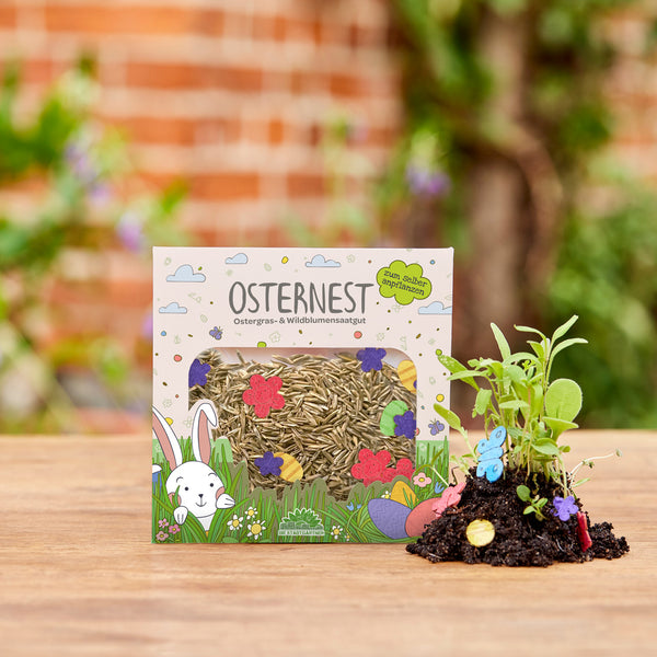 Osternest Saatgutkonfetti für Ostergras