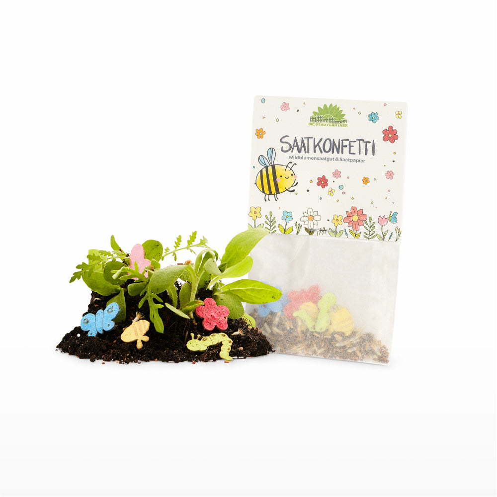 10 x Saatgutkonfetti im Pergaminbeutel I Mitgebsel für Kindergeburtstag und Hochzeit