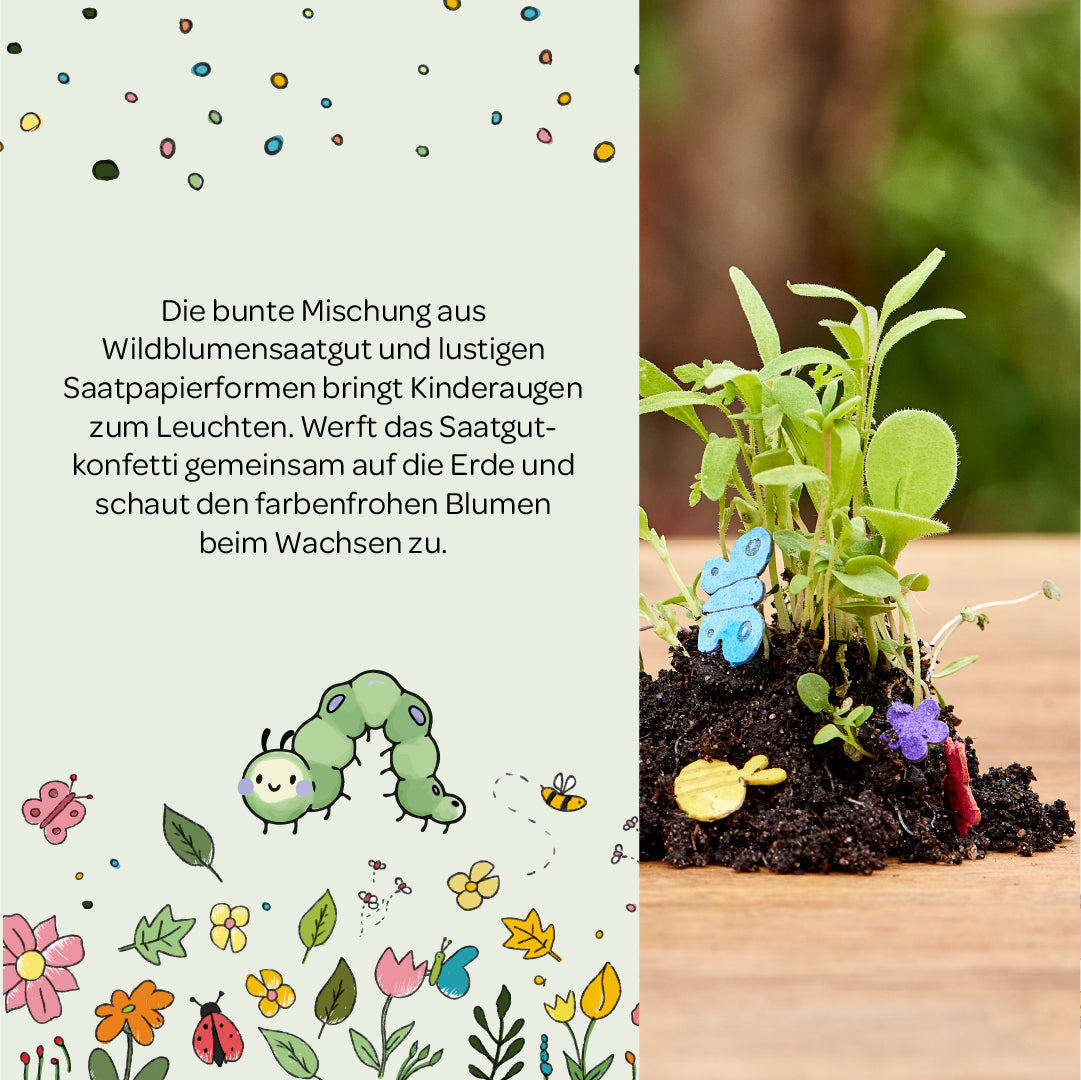 Bunte Illustration mit Wildblumensaatgut, einer grünen Raupe, gezeichneten Blumen und Schmetterlingen, daneben Erde mit Wildblumenkeimlingen und bunten Saatpapierformen.