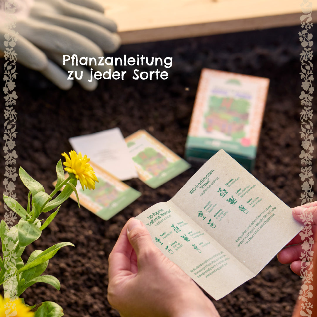 Zwei Hände halten eine Pflanzanleitung über einem Beet mit Blumen, im Hintergrund Samenpäckchen und Gartenhandschuhe.