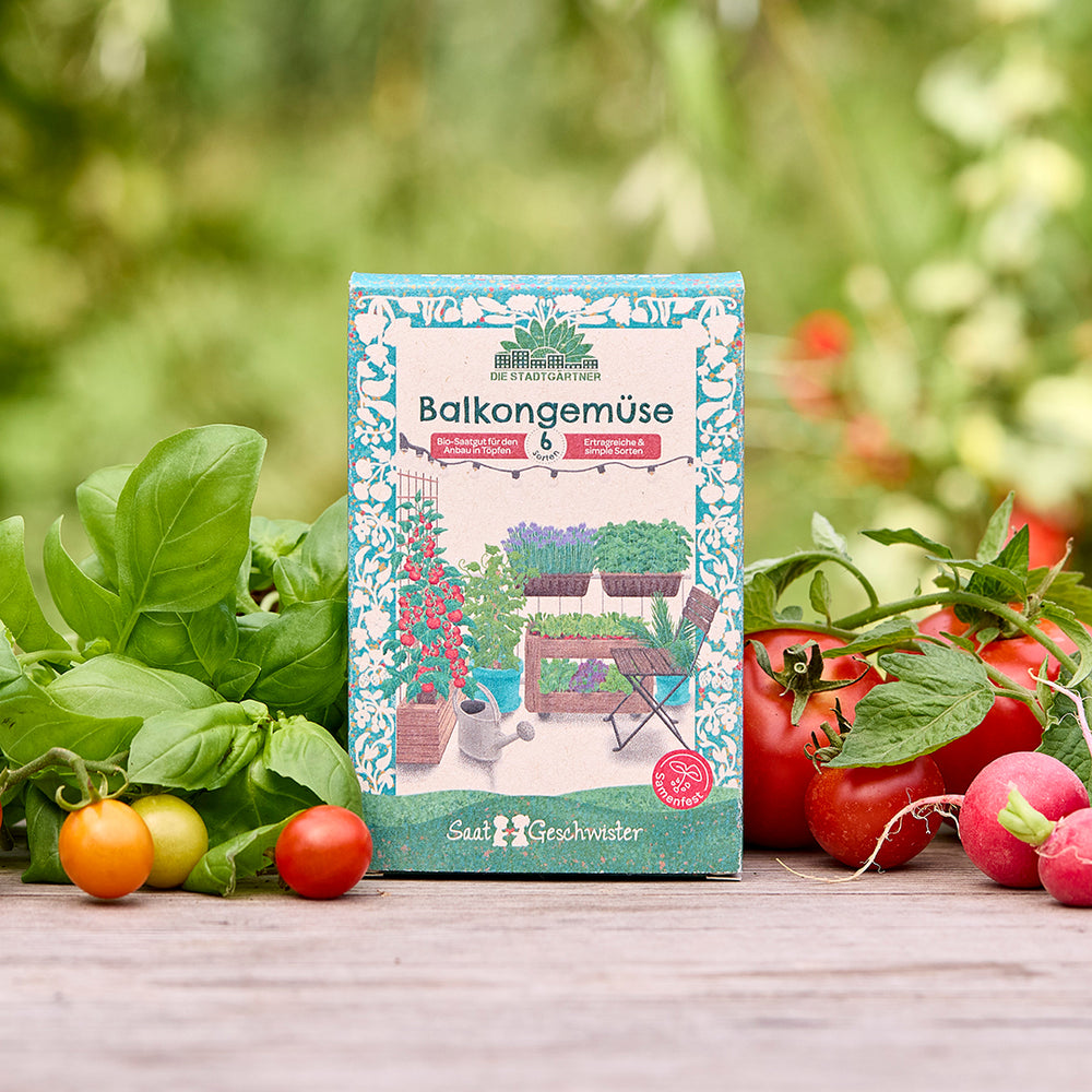 Saatgut-Set mit 6 BIO Gemüsesorten für den Balkon | Set mit hochwertigen samenfesten Gemüsesamen, z.B. Radieschen, Gurken, Tomaten | Perfekt als Geschenkidee zum Geburtstag, Ostern, Hochzeit und Co. |