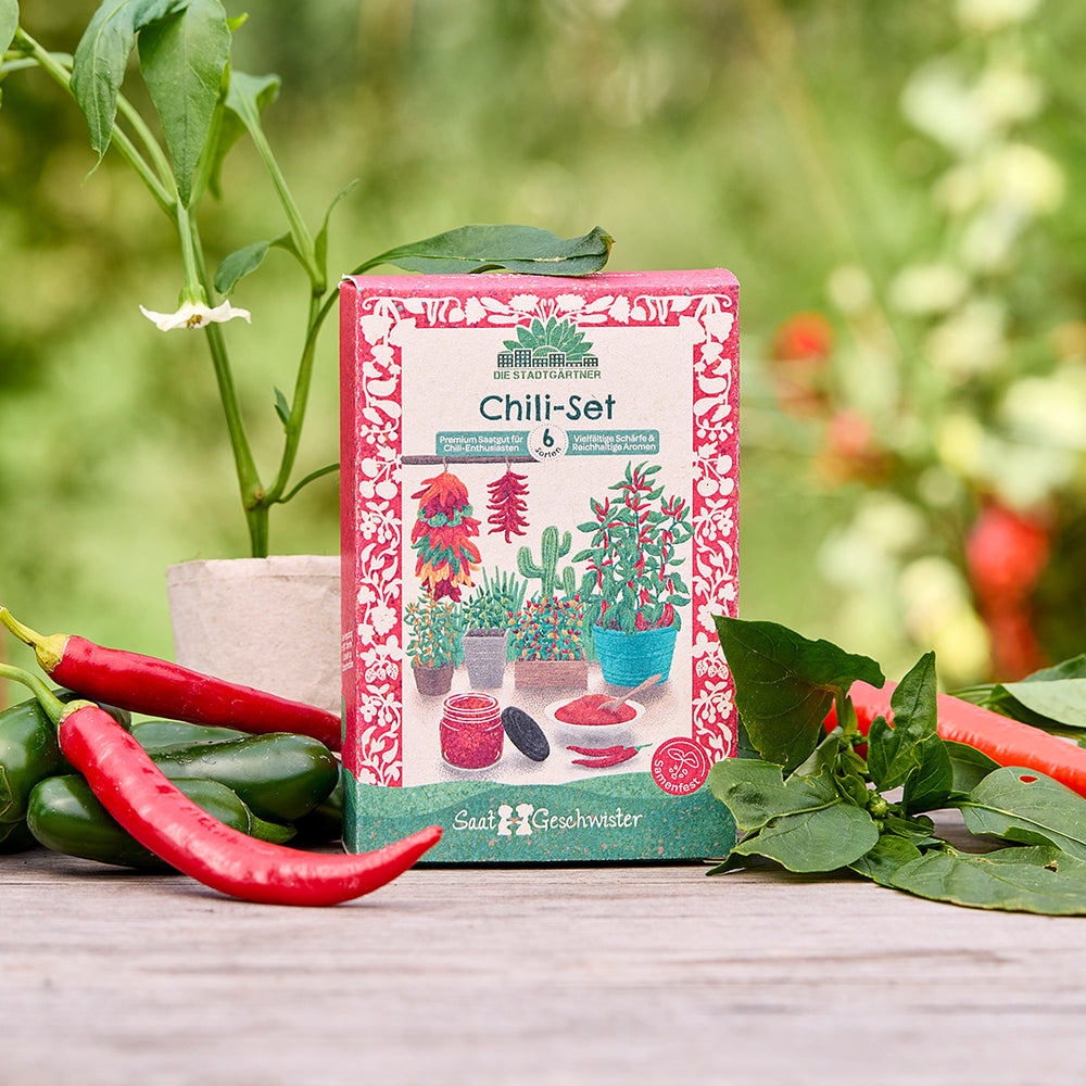 Saatgut-Set mit 6 Chili-Sorten | Samenfestes Premium Chili Saatgut für Chili-Freunde wie Jalapeño, Habanero, Naga Black etc.| Perfektes Geschenk für Chili-Enthusiasten zum Geburtstag, Weihnachten oder