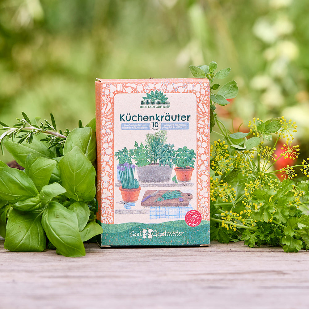 Saatgut-Set Küchenkräuter mit 10 samenfesten BIO-Sorten | Hochwertiges Kräuter-Saatgut in BIO-Qualität | Frische Kräuter für Salate, Soßen & mehr | Ideales Geschenk für Hobbyköche und Kräuter-Fans zum